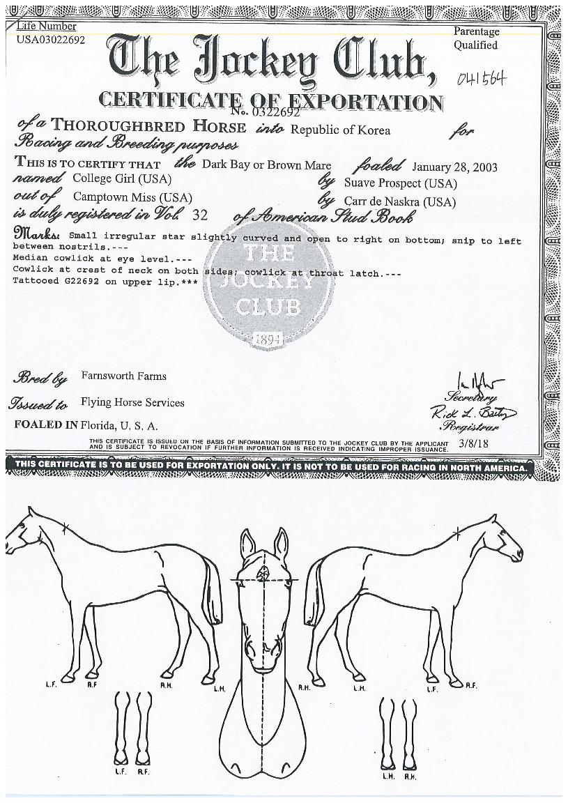 Į�������� ����,���,�޸�,�λ�,�ٸ��� Ư¡����