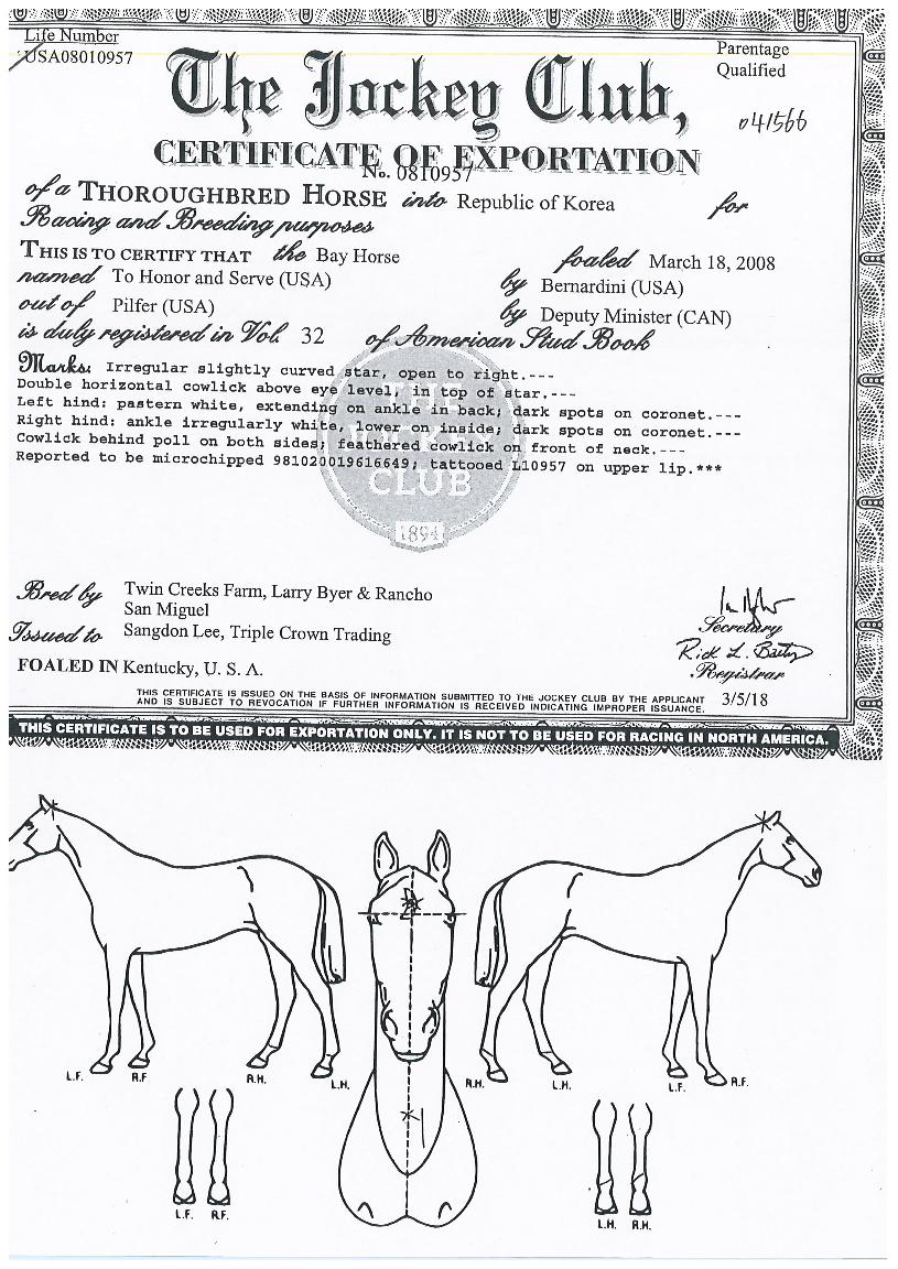 ���Ƴʾص弭���� ����,���,�޸�,�λ�,�ٸ��� Ư¡����