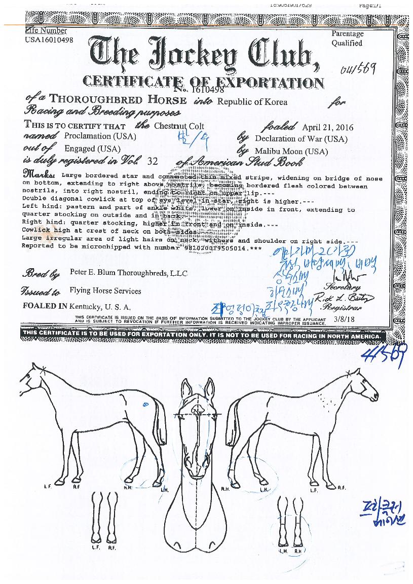 ÇÁ¶óŬ·¯¸ÞÀ̼ÇÀÇ Ãø¸é,¿ì¸é,µÞ¸é,µÎ»ó,´Ù¸®ÀÇ Æ¯Â¡µµÇØ