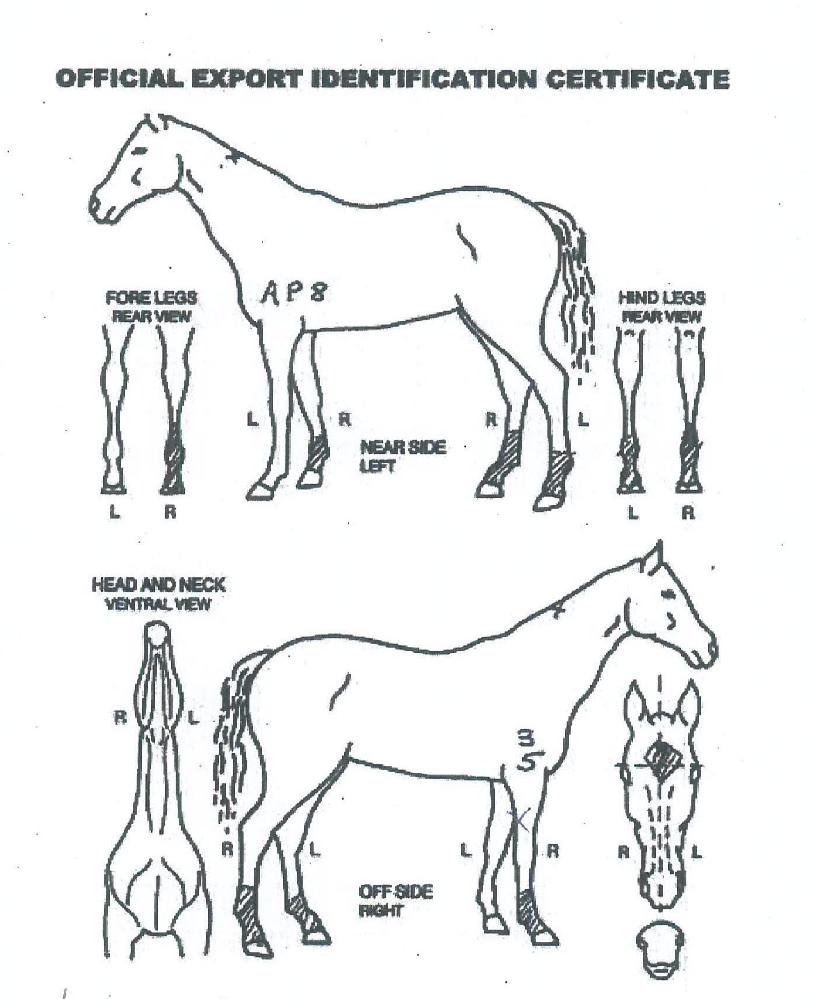 Ŭ�����޴��� ����,���,�޸�,�λ�,�ٸ��� Ư¡����