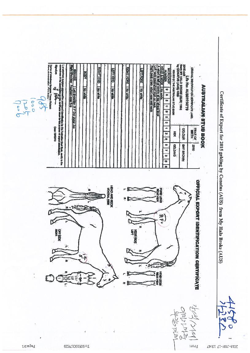 °¡°íÅ佺ÀÇ Ãø¸é,¿ì¸é,µÞ¸é,µÎ»ó,´Ù¸®ÀÇ Æ¯Â¡µµÇØ