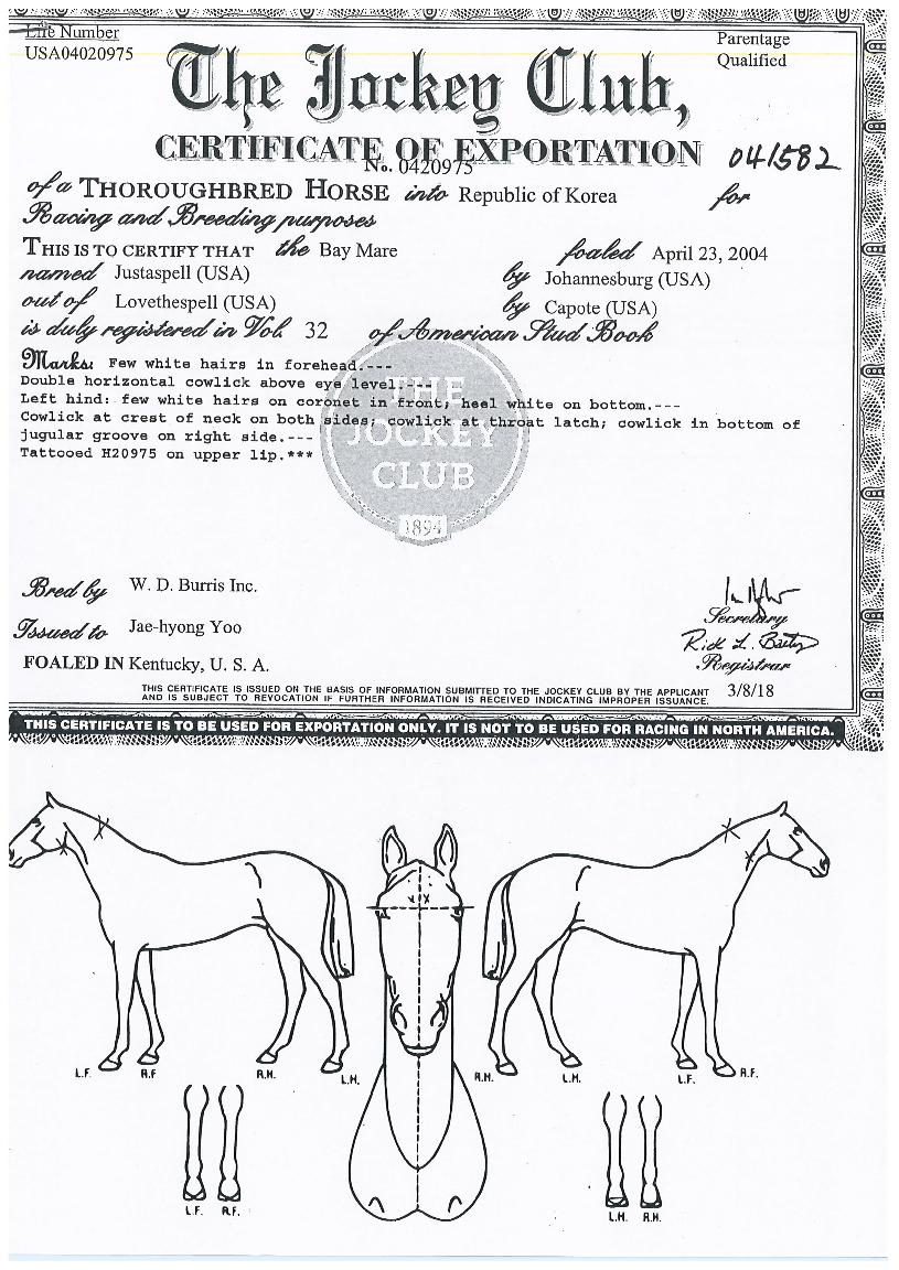 ����Ʈ����� ����,���,�޸�,�λ�,�ٸ��� Ư¡����