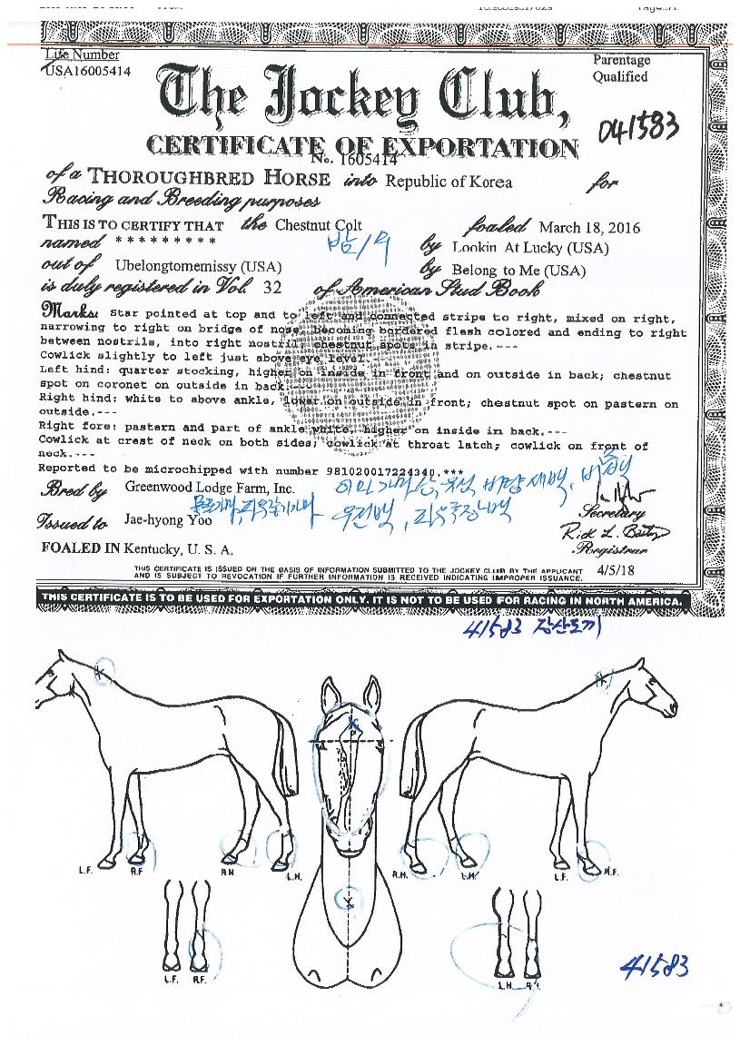 Àå»êµµ³¢ÀÇ Ãø¸é,¿ì¸é,µÞ¸é,µÎ»ó,´Ù¸®ÀÇ Æ¯Â¡µµÇØ