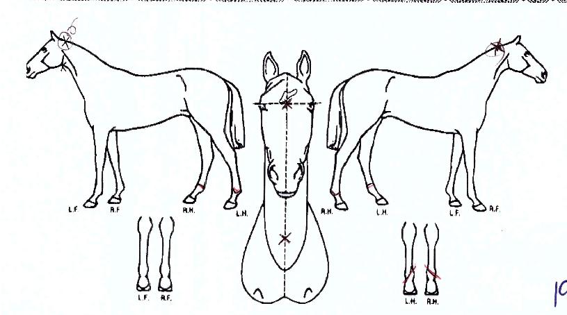 ��ٿ�ũ�� ����,���,�޸�,�λ�,�ٸ��� Ư¡����