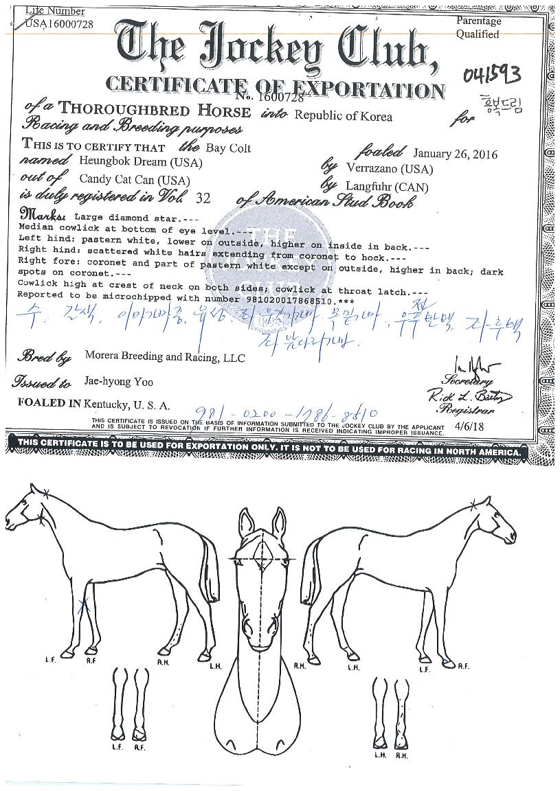 �ﺹ�帲�� ����,���,�޸�,�λ�,�ٸ��� Ư¡����