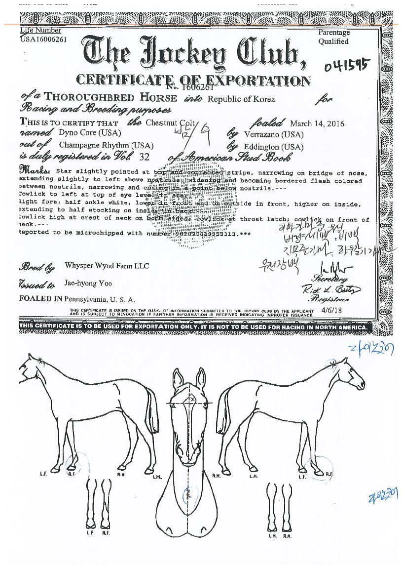 ���̳��ھ��� ����,���,�޸�,�λ�,�ٸ��� Ư¡����