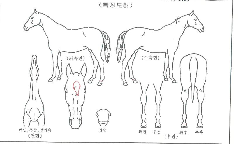 ����Ʈ����� ����,���,�޸�,�λ�,�ٸ��� Ư¡����