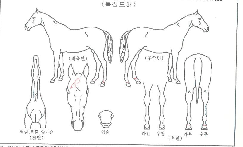 ���ʺ����� ����,���,�޸�,�λ�,�ٸ��� Ư¡����