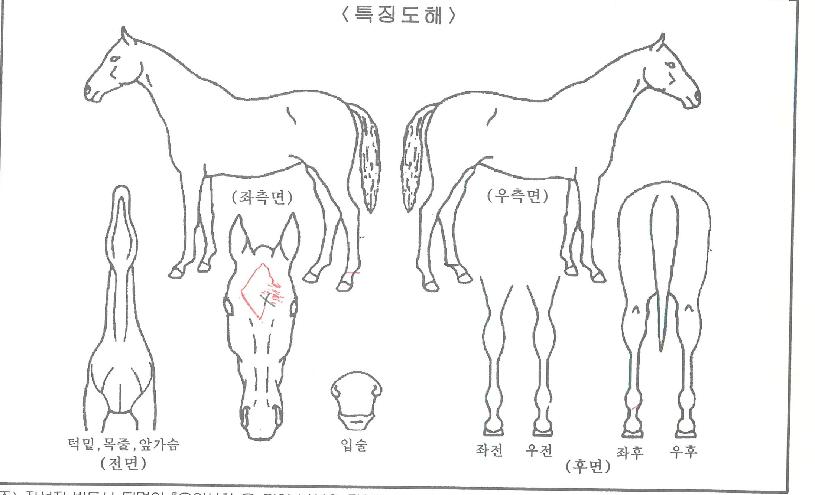 ��Ʈ������ ����,���,�޸�,�λ�,�ٸ��� Ư¡����