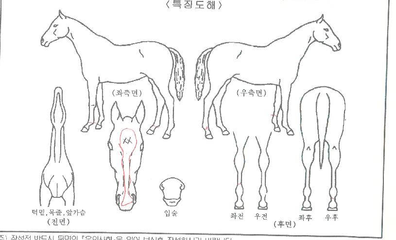 ��Ʋ��ù̽��ڸ��� ����,���,�޸�,�λ�,�ٸ��� Ư¡����