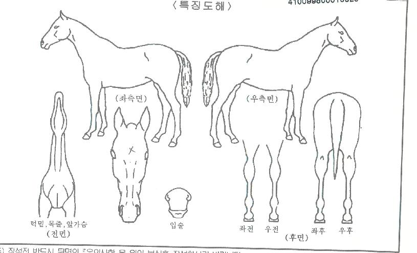 ¸°Ä¡ÇÉÀÇ Ãø¸é,¿ì¸é,µÞ¸é,µÎ»ó,´Ù¸®ÀÇ Æ¯Â¡µµÇØ