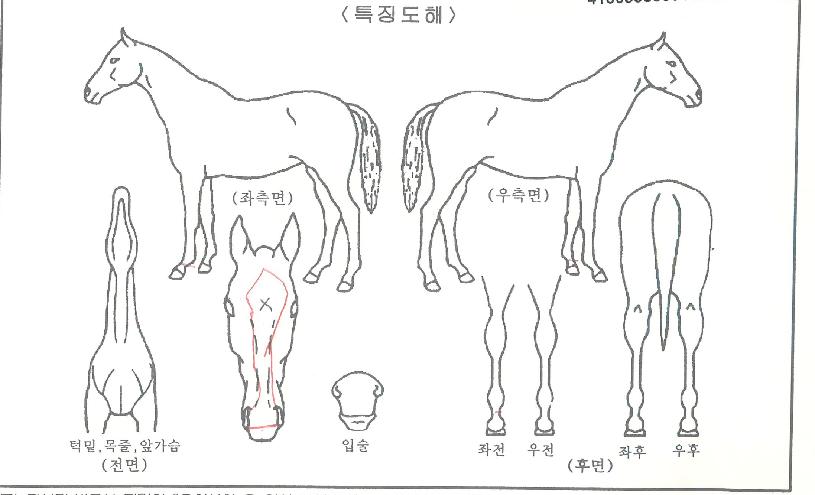 ������� ����,���,�޸�,�λ�,�ٸ��� Ư¡����