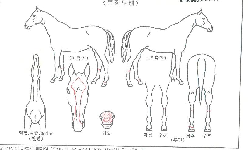 ���̿��� ����,���,�޸�,�λ�,�ٸ��� Ư¡����