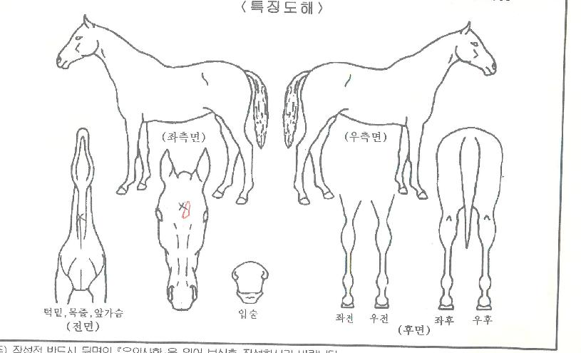 �����ǽ��� ����,���,�޸�,�λ�,�ٸ��� Ư¡����