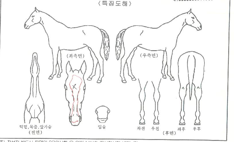 �ǿ�������Ʈ�� ����,���,�޸�,�λ�,�ٸ��� Ư¡����