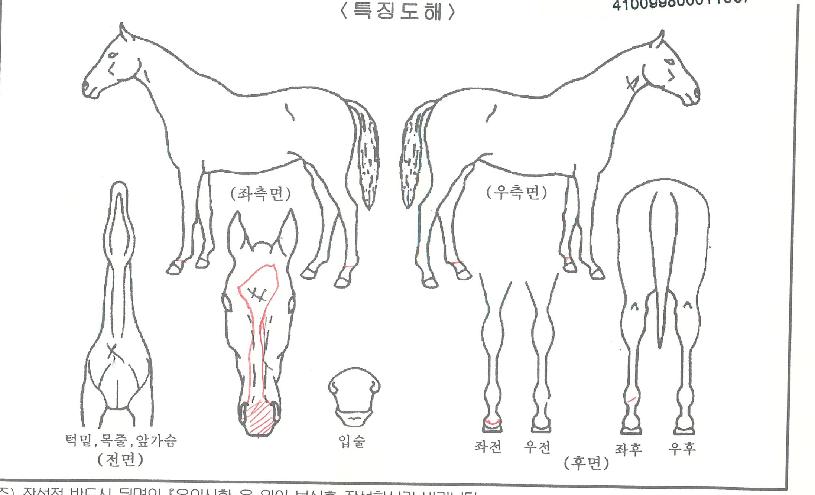 �̽����Ѽ��� ����,���,�޸�,�λ�,�ٸ��� Ư¡����