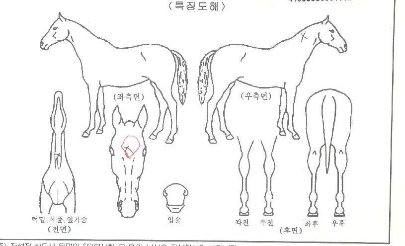 Ʈ���ý����� ����,���,�޸�,�λ�,�ٸ��� Ư¡����