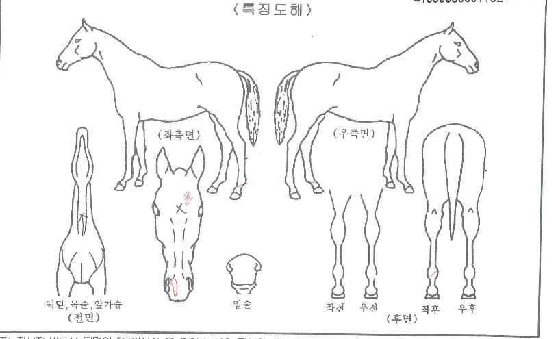 ũ�γʽ��� ����,���,�޸�,�λ�,�ٸ��� Ư¡����