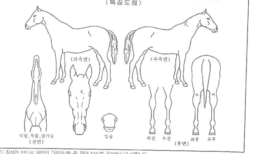¸¶·çij½½ÀÇ Ãø¸é,¿ì¸é,µÞ¸é,µÎ»ó,´Ù¸®ÀÇ Æ¯Â¡µµÇØ