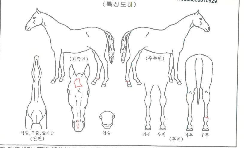 ���丮Ÿ���� ����,���,�޸�,�λ�,�ٸ��� Ư¡����