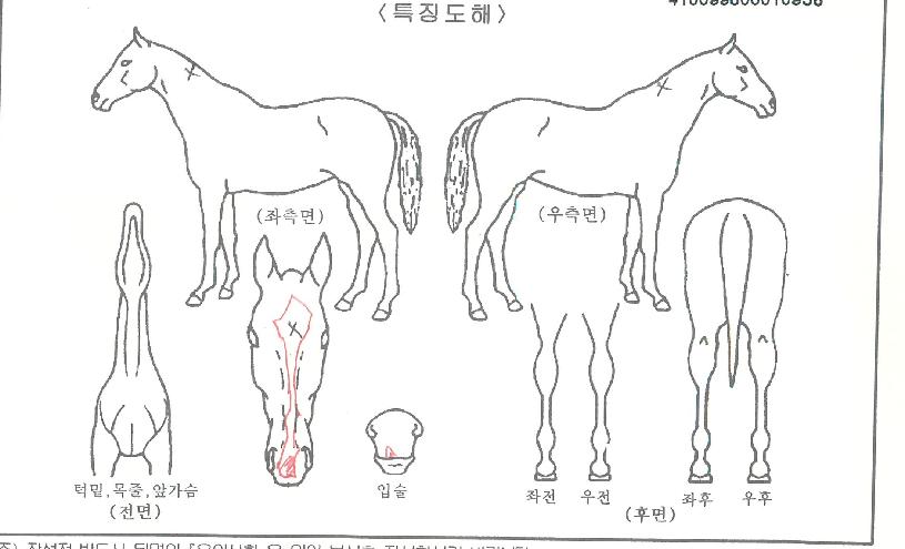 ���ǵ��Ʒ����� ����,���,�޸�,�λ�,�ٸ��� Ư¡����