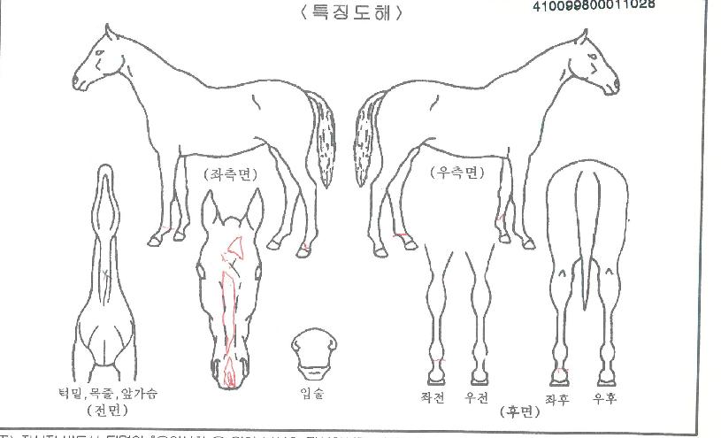 �������� ����,���,�޸�,�λ�,�ٸ��� Ư¡����