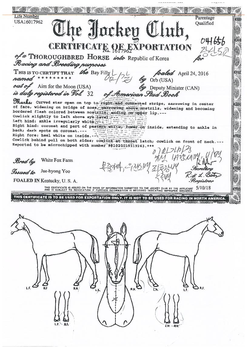 ��굵���� ����,���,�޸�,�λ�,�ٸ��� Ư¡����