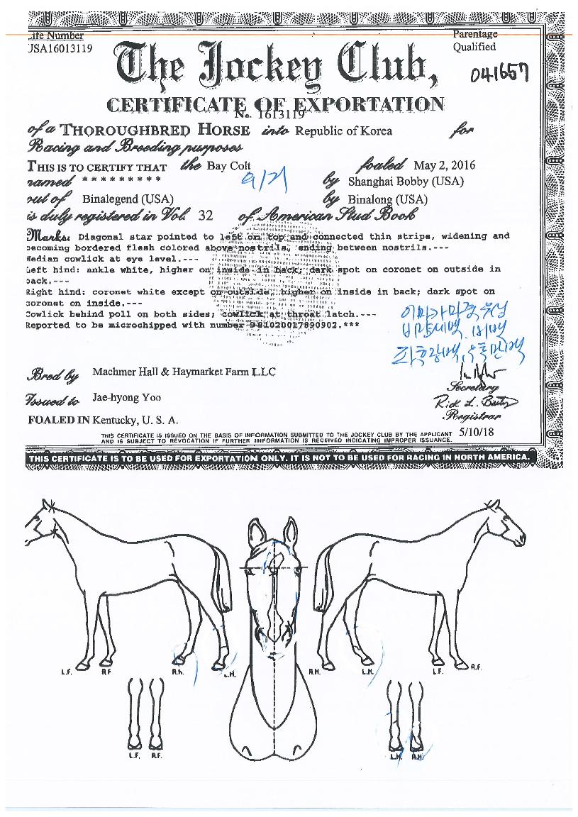 ���ٺ��� ����,���,�޸�,�λ�,�ٸ��� Ư¡����