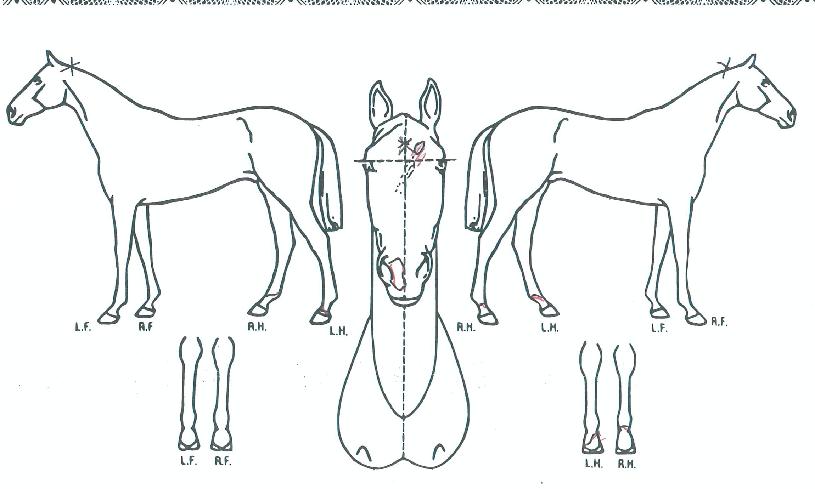 ���о������� ����,���,�޸�,�λ�,�ٸ��� Ư¡����