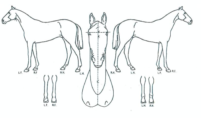 ȯ��Ÿ�� ����,���,�޸�,�λ�,�ٸ��� Ư¡����