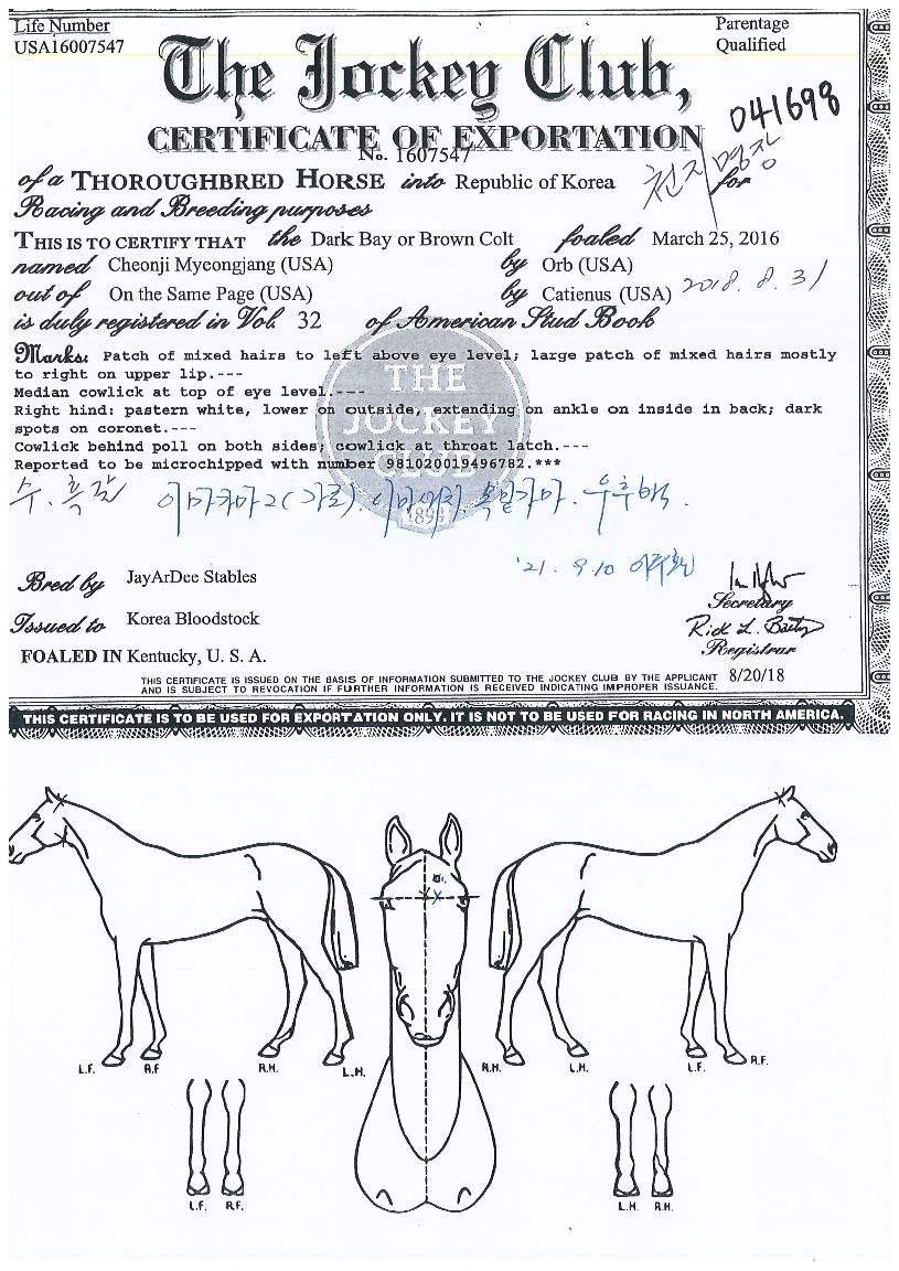 õ�������� ����,���,�޸�,�λ�,�ٸ��� Ư¡����