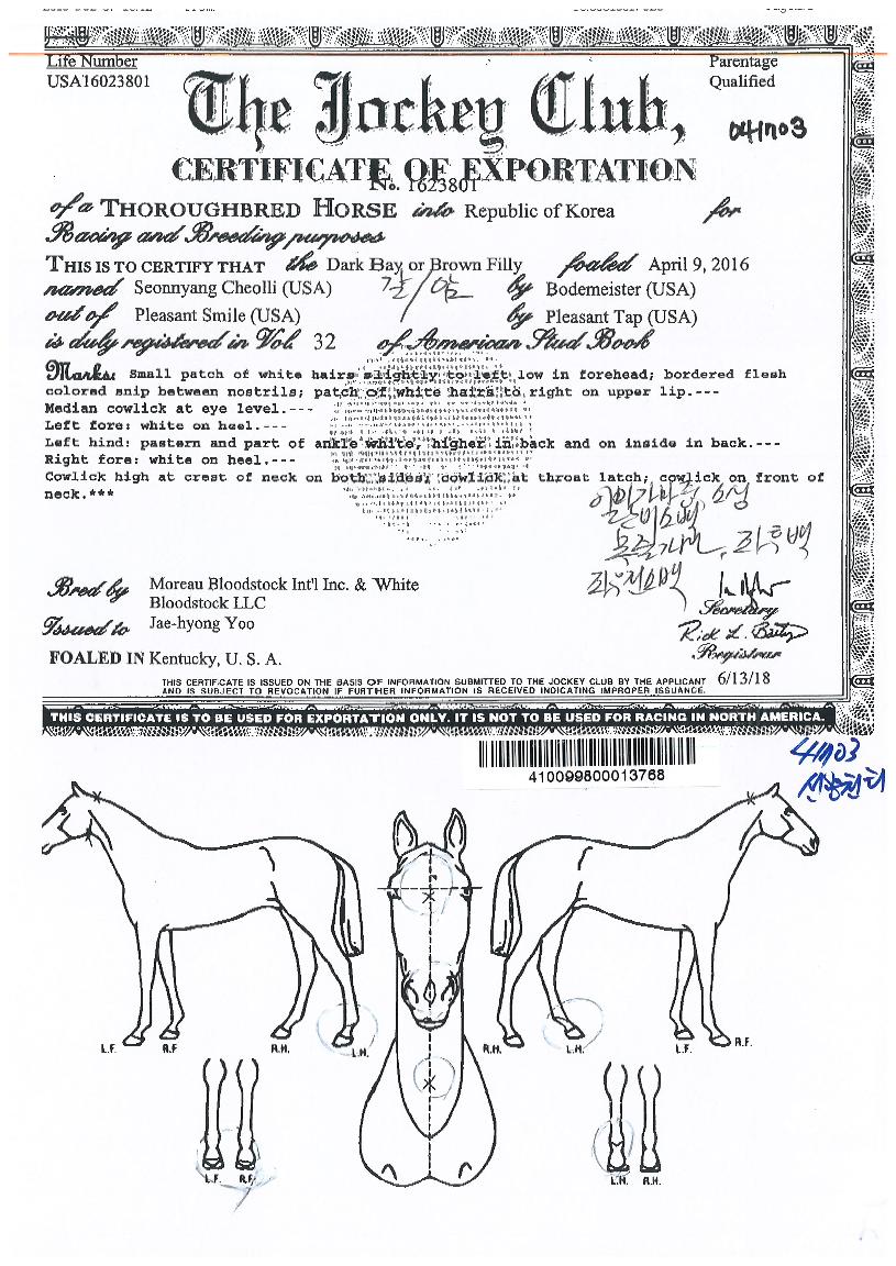 ¼±¾çõ¸®ÀÇ Ãø¸é,¿ì¸é,µÞ¸é,µÎ»ó,´Ù¸®ÀÇ Æ¯Â¡µµÇØ