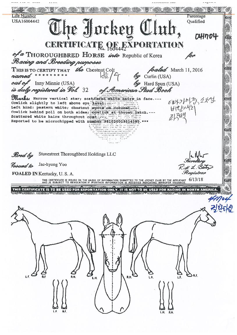 �ø�Ÿ���� ����,���,�޸�,�λ�,�ٸ��� Ư¡����