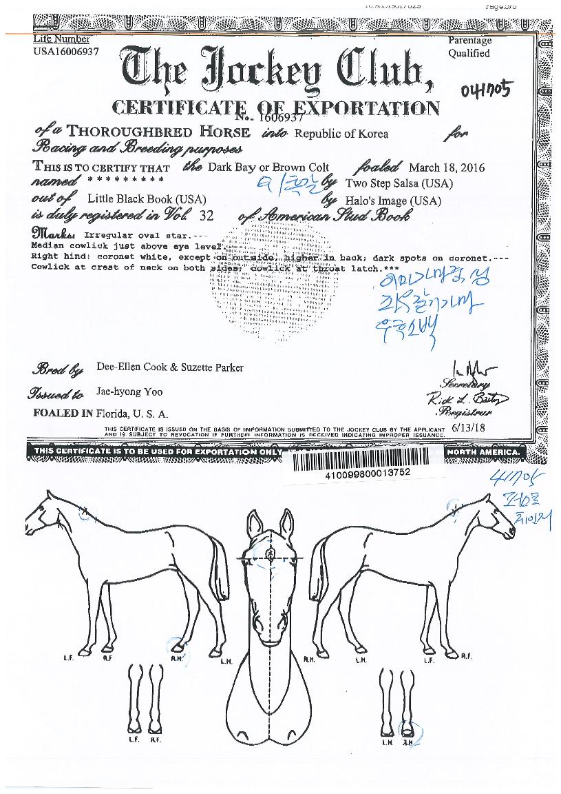 ÆÛ½ºÆ®Ã¼ÀÎÀúÀÇ Ãø¸é,¿ì¸é,µÞ¸é,µÎ»ó,´Ù¸®ÀÇ Æ¯Â¡µµÇØ