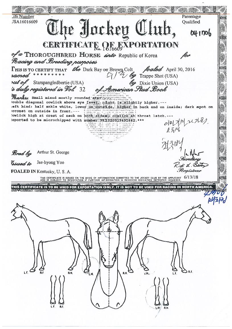 ��ġŷ�� ����,���,�޸�,�λ�,�ٸ��� Ư¡����