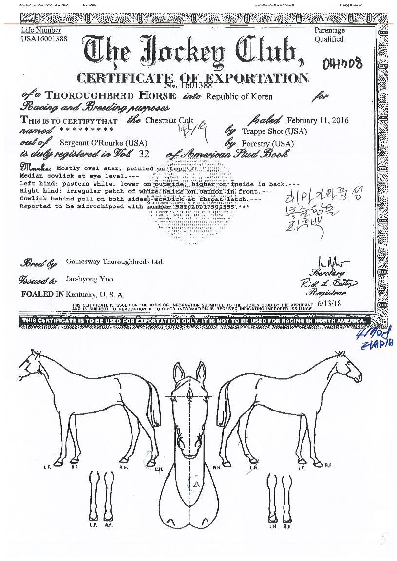 �����̹��� ����,���,�޸�,�λ�,�ٸ��� Ư¡����