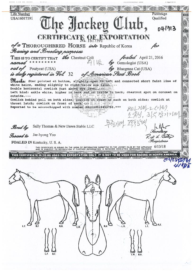 �������Ƿ��� ����,���,�޸�,�λ�,�ٸ��� Ư¡����