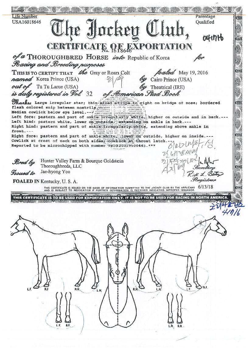 ÄÚ¸®¾ÆÇÁ¸°½ºÀÇ Ãø¸é,¿ì¸é,µÞ¸é,µÎ»ó,´Ù¸®ÀÇ Æ¯Â¡µµÇØ