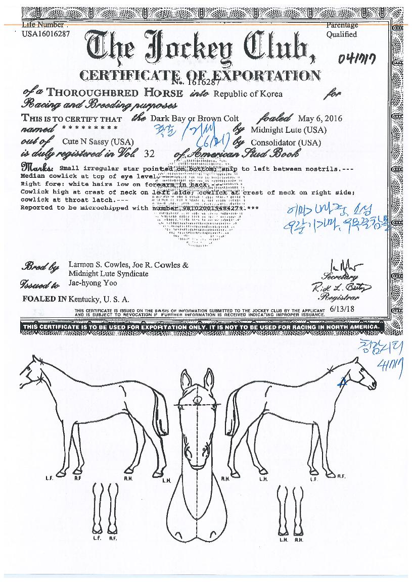 û���Ƽ�� ����,���,�޸�,�λ�,�ٸ��� Ư¡����