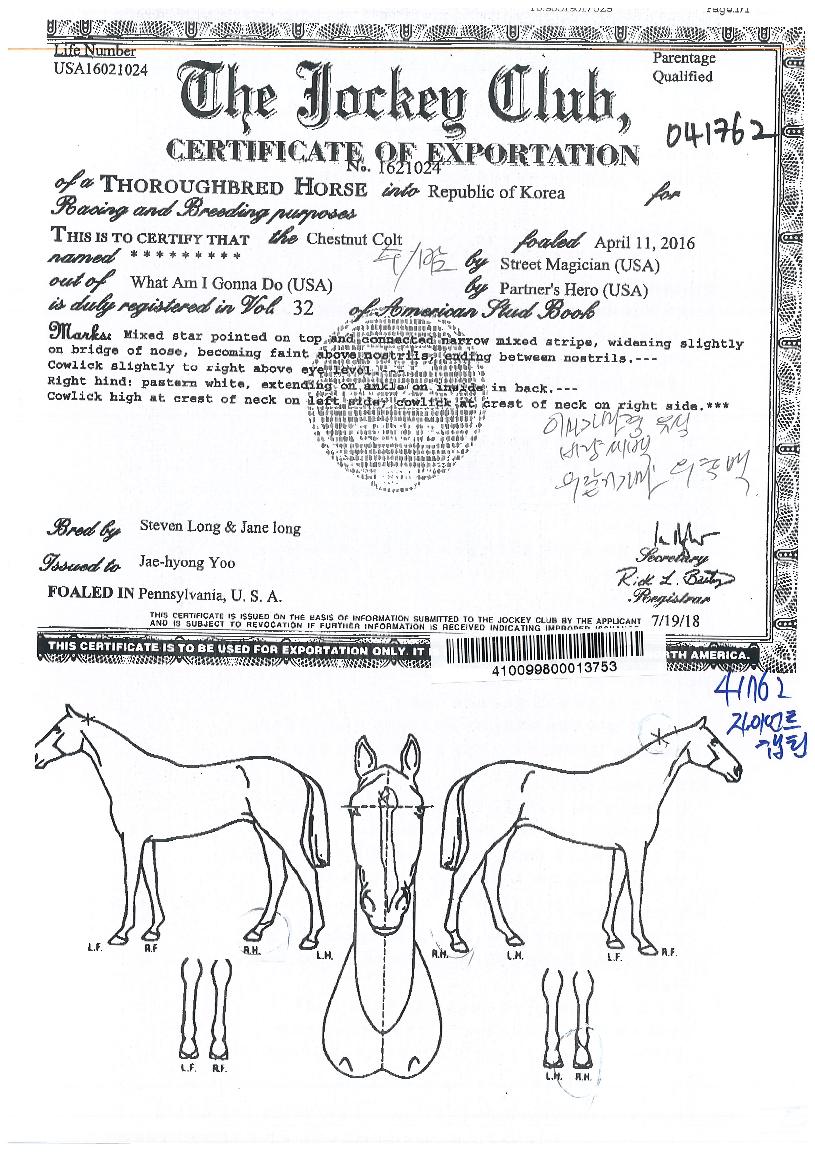 ÀÚÀ̾ðƮĸƾÀÇ Ãø¸é,¿ì¸é,µÞ¸é,µÎ»ó,´Ù¸®ÀÇ Æ¯Â¡µµÇØ