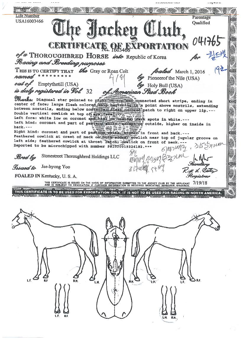 ����Ĺ�� ����,���,�޸�,�λ�,�ٸ��� Ư¡����