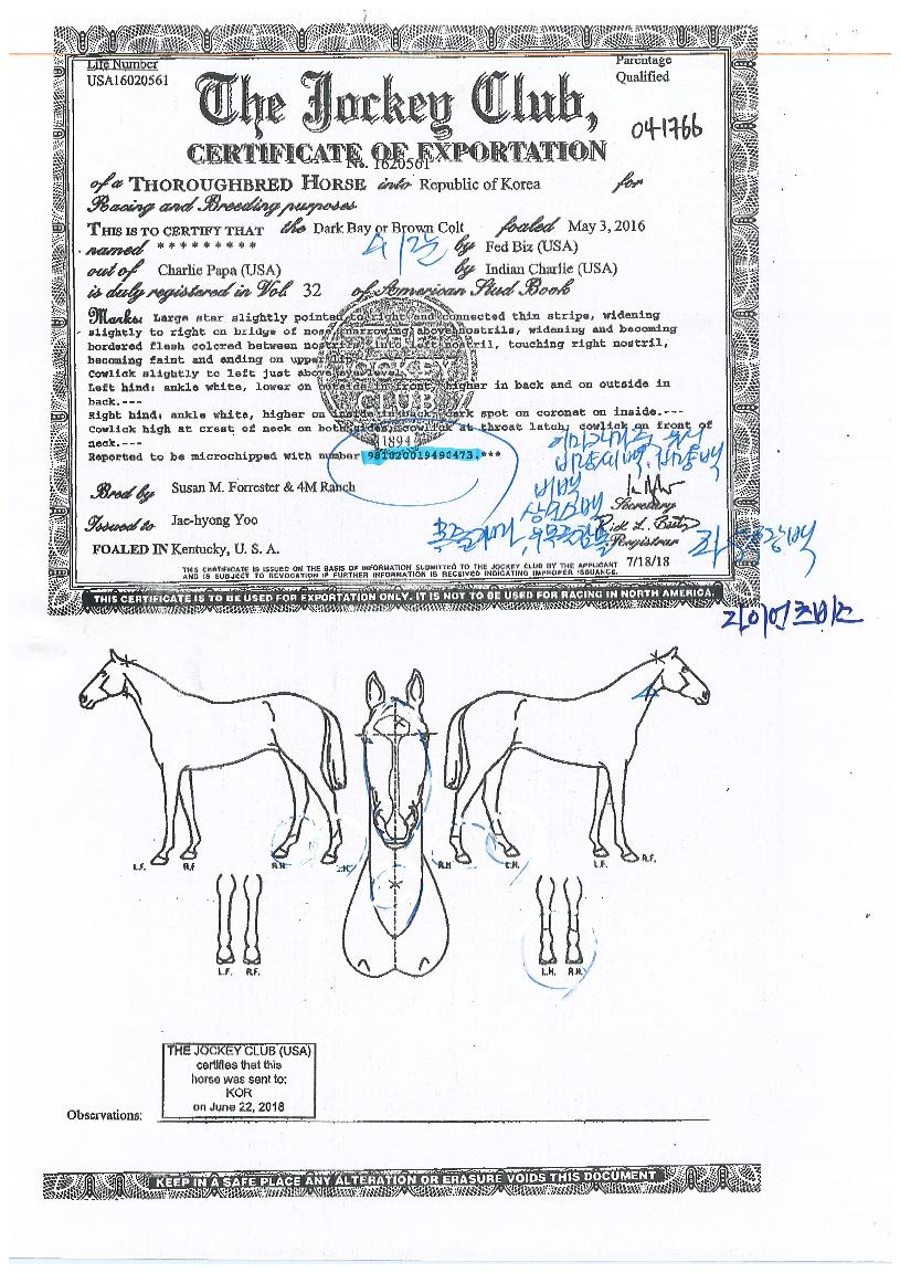 ���̾��������� ����,���,�޸�,�λ�,�ٸ��� Ư¡����