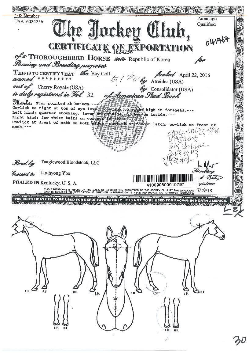 ������ ����,���,�޸�,�λ�,�ٸ��� Ư¡����