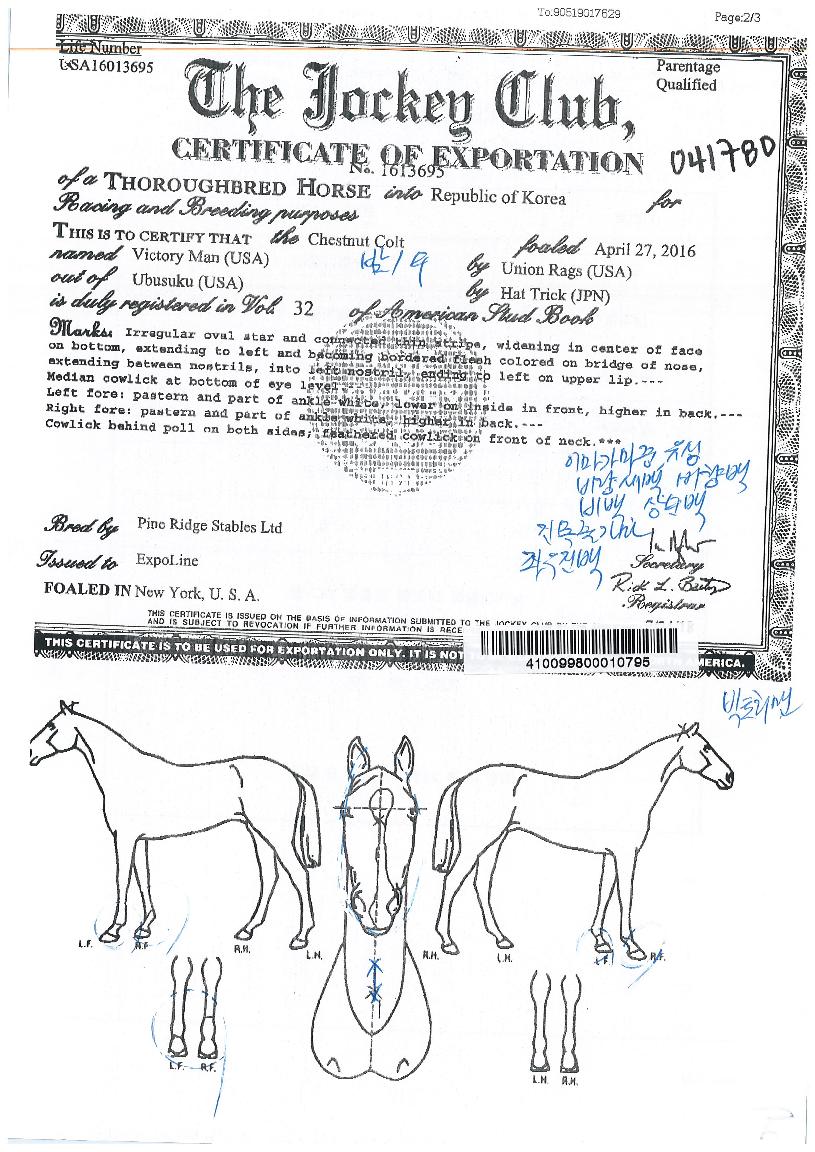 ºòÅ丮¸ÇÀÇ Ãø¸é,¿ì¸é,µÞ¸é,µÎ»ó,´Ù¸®ÀÇ Æ¯Â¡µµÇØ