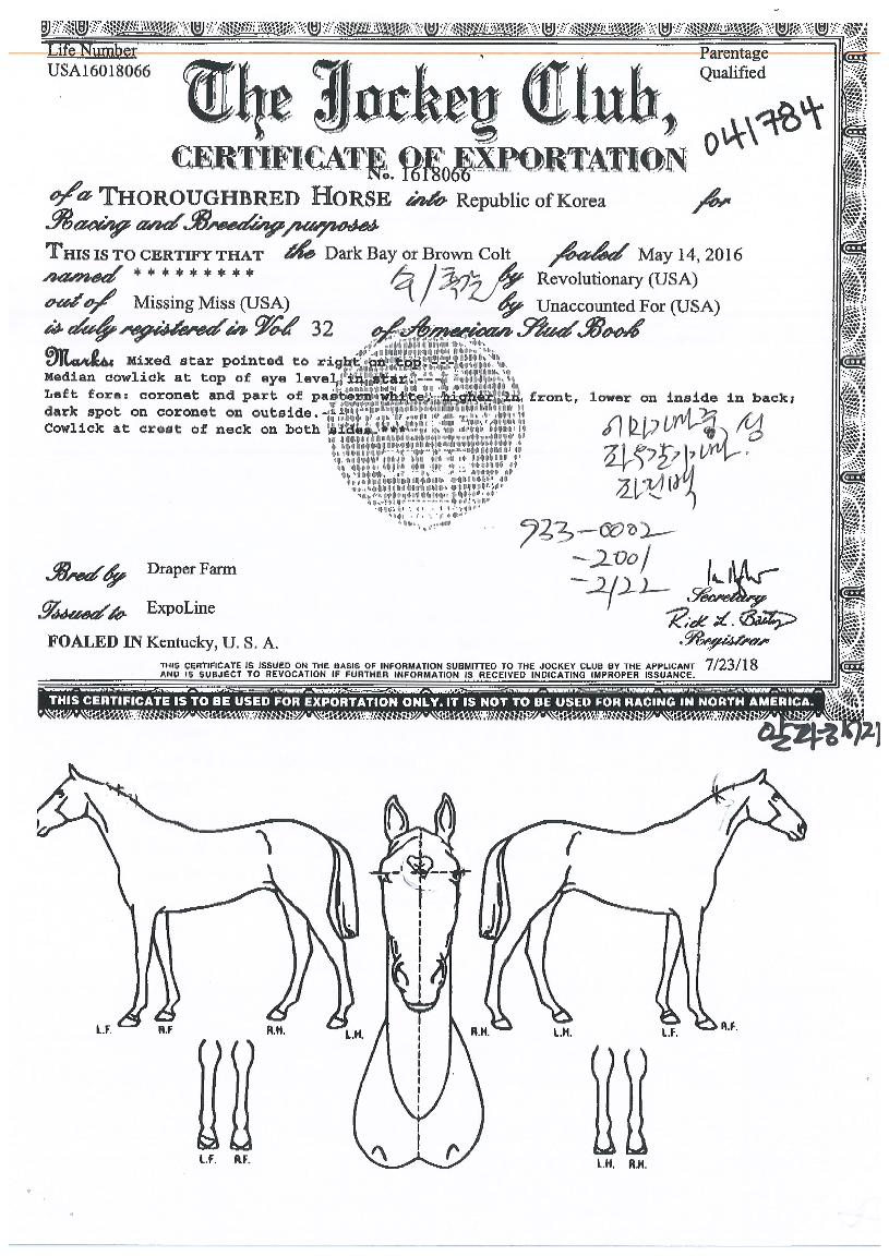 ����ŷ������ ����,���,�޸�,�λ�,�ٸ��� Ư¡����