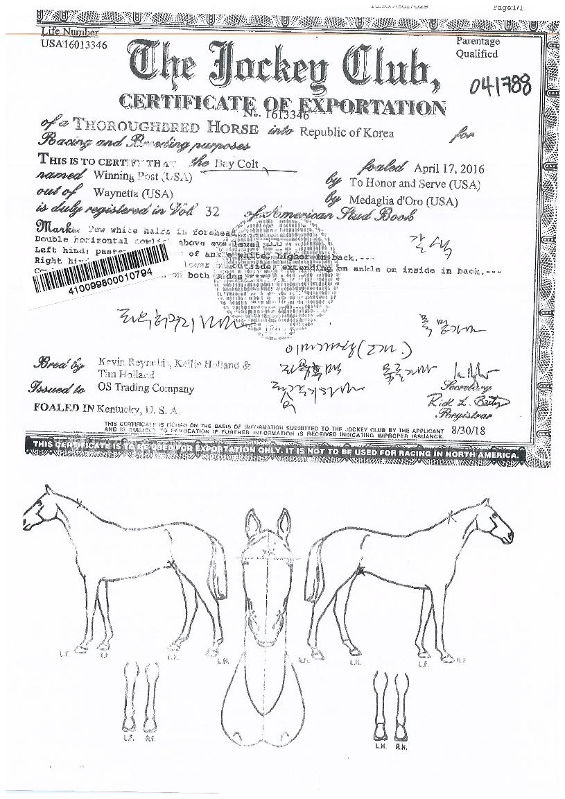 ��������Ʈ�� ����,���,�޸�,�λ�,�ٸ��� Ư¡����