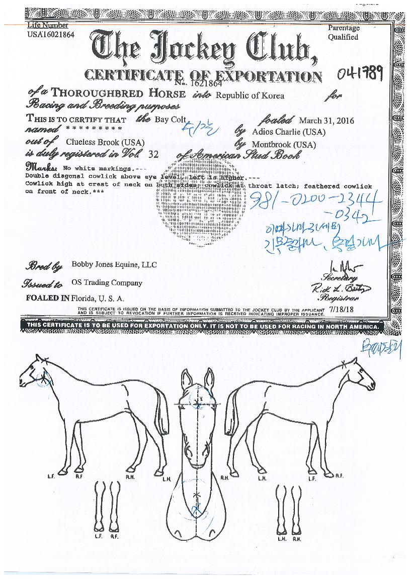 ¹«ÆÐÂû¸®ÀÇ Ãø¸é,¿ì¸é,µÞ¸é,µÎ»ó,´Ù¸®ÀÇ Æ¯Â¡µµÇØ