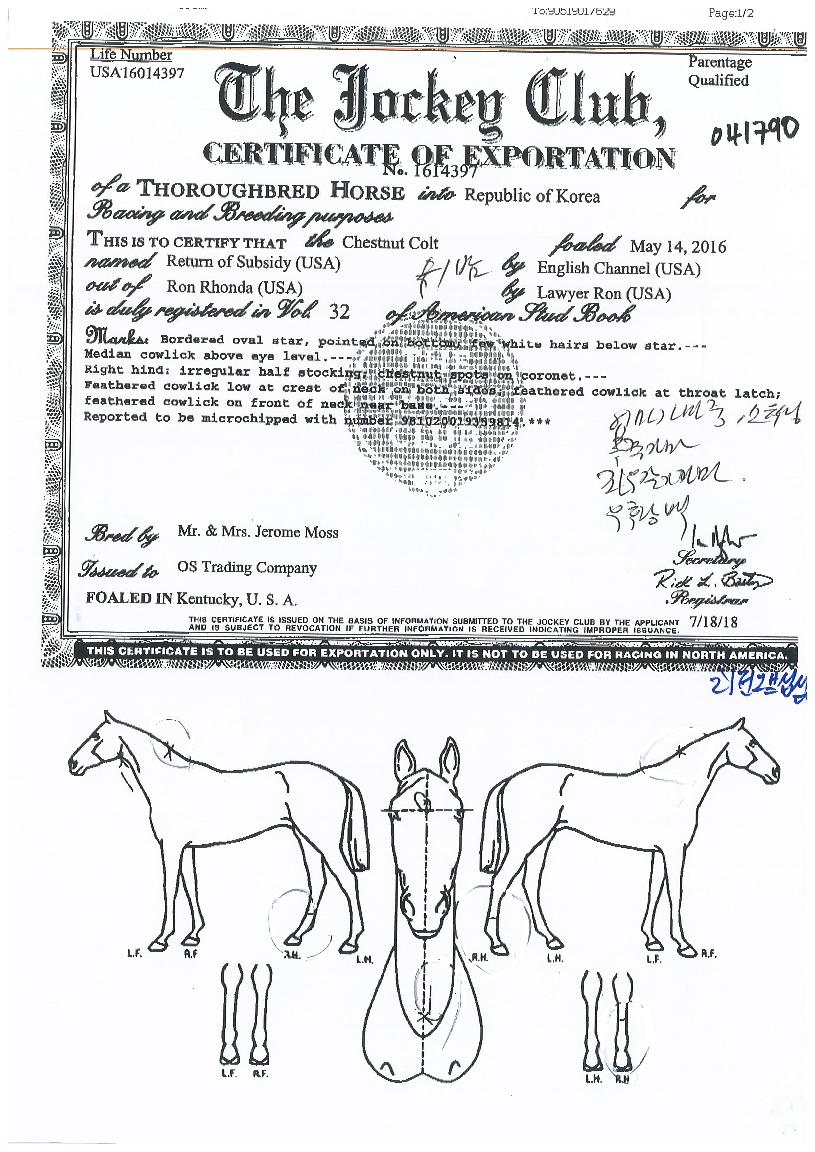 ���Ͽ��꼷������ ����,���,�޸�,�λ�,�ٸ��� Ư¡����