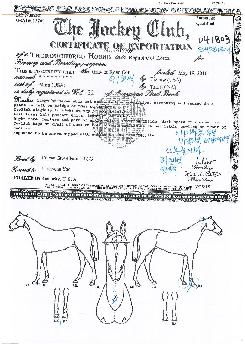 �¾��̶���� ����,���,�޸�,�λ�,�ٸ��� Ư¡����