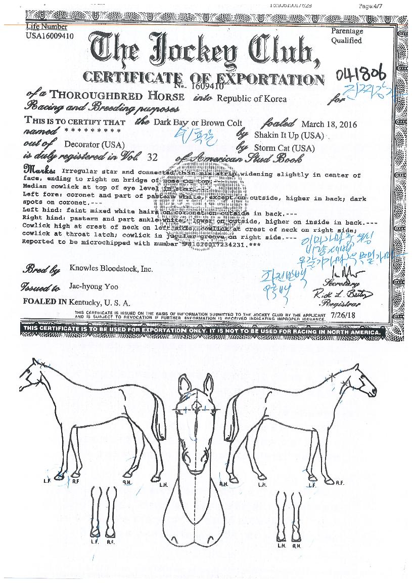 ÁøÂ¥°ÀÚÀÇ Ãø¸é,¿ì¸é,µÞ¸é,µÎ»ó,´Ù¸®ÀÇ Æ¯Â¡µµÇØ